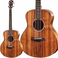 Taylor GS mini-e bass GSミニベース テイラー アコベ 71SztZJ9mmL._AC_SY200_QL15_.jpg