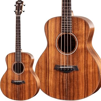 テイラーTaylorアコースティックギター GS Mini-e Koa エレアコ Taylor GS Mini-e Koa エレアコギター テイラー | 島村楽器