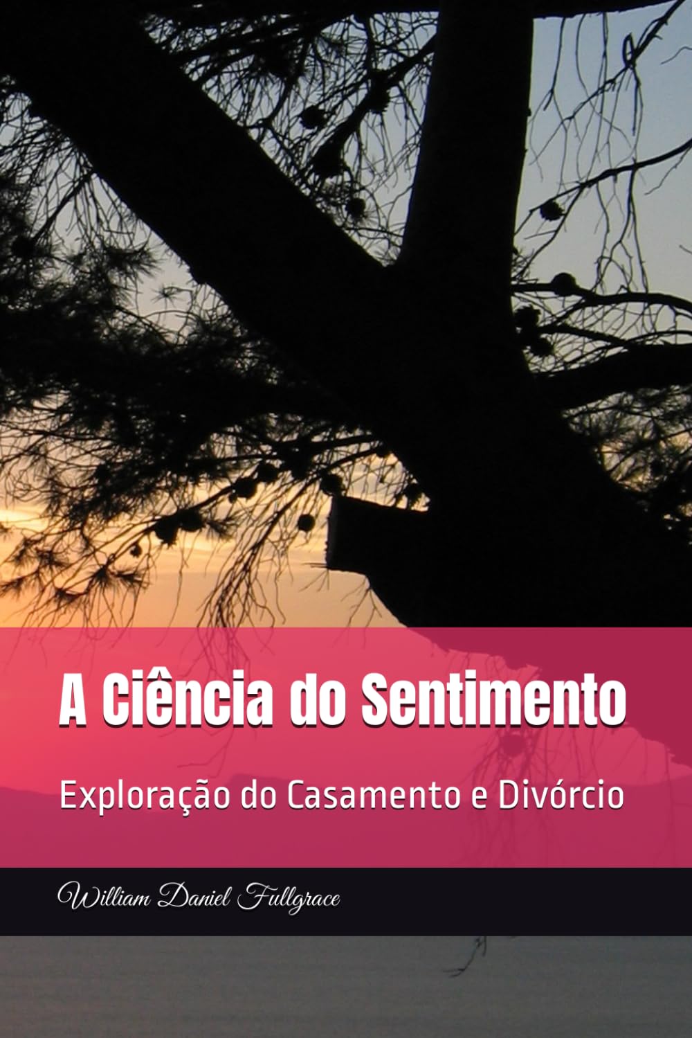 A Cincia do Sentimento: Explorao do Casamento e Divrcio