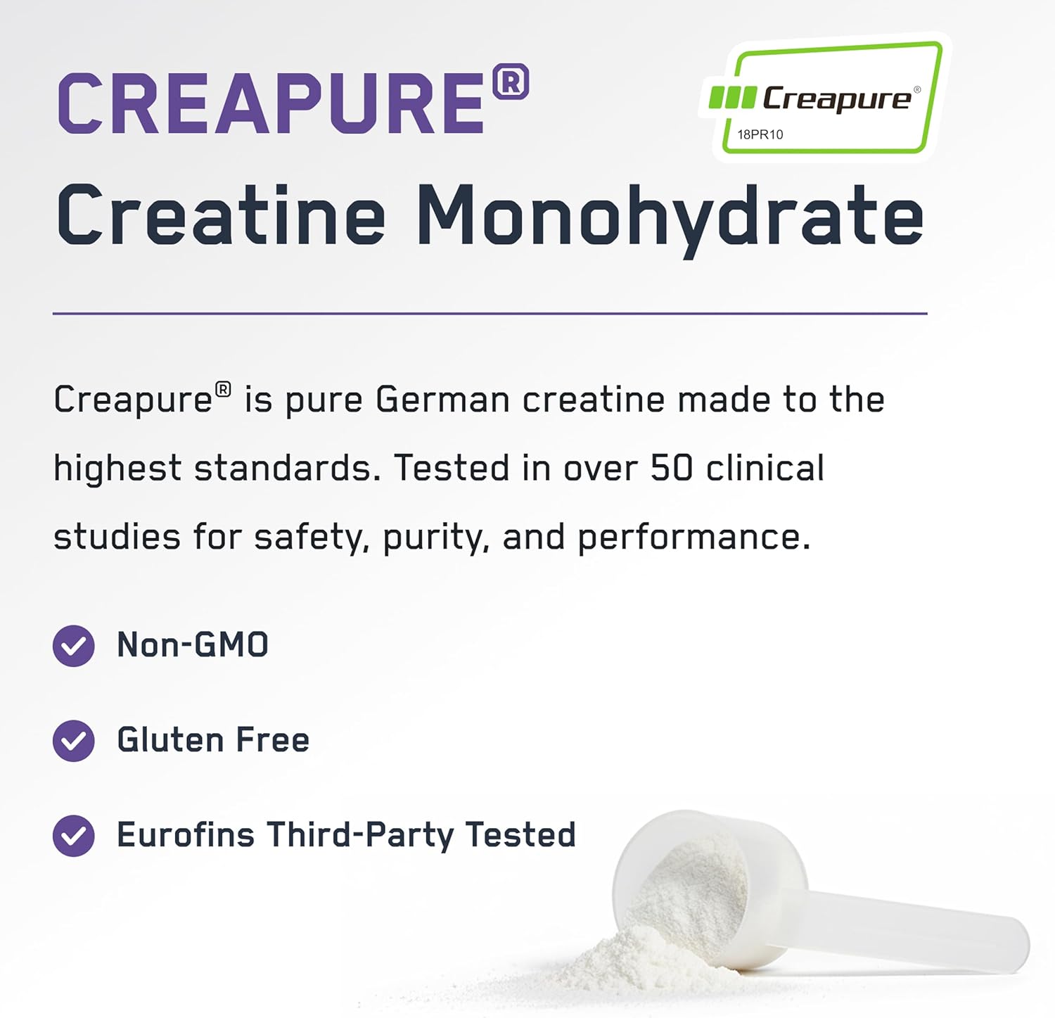 SteelFit Creapure Pure Creatine Monohydrate Powder for Men & Women, Grape - Flavored Creatine Gym Workout Supplements for Lean Muscle Gain, Brain Health & Strength Building - 30 Servings