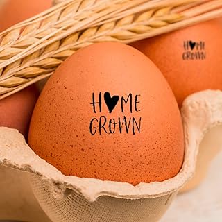 Egg Stamper for Chicken Eggs, Egg Stamps for Fresh Eggs, Farm Fresh Egg Stamp, Egg Stamps for Fresh Eggs Personalized, Custom Chicken Mini Egg Stamp Complete Rubber Stamp (Pattern 3)