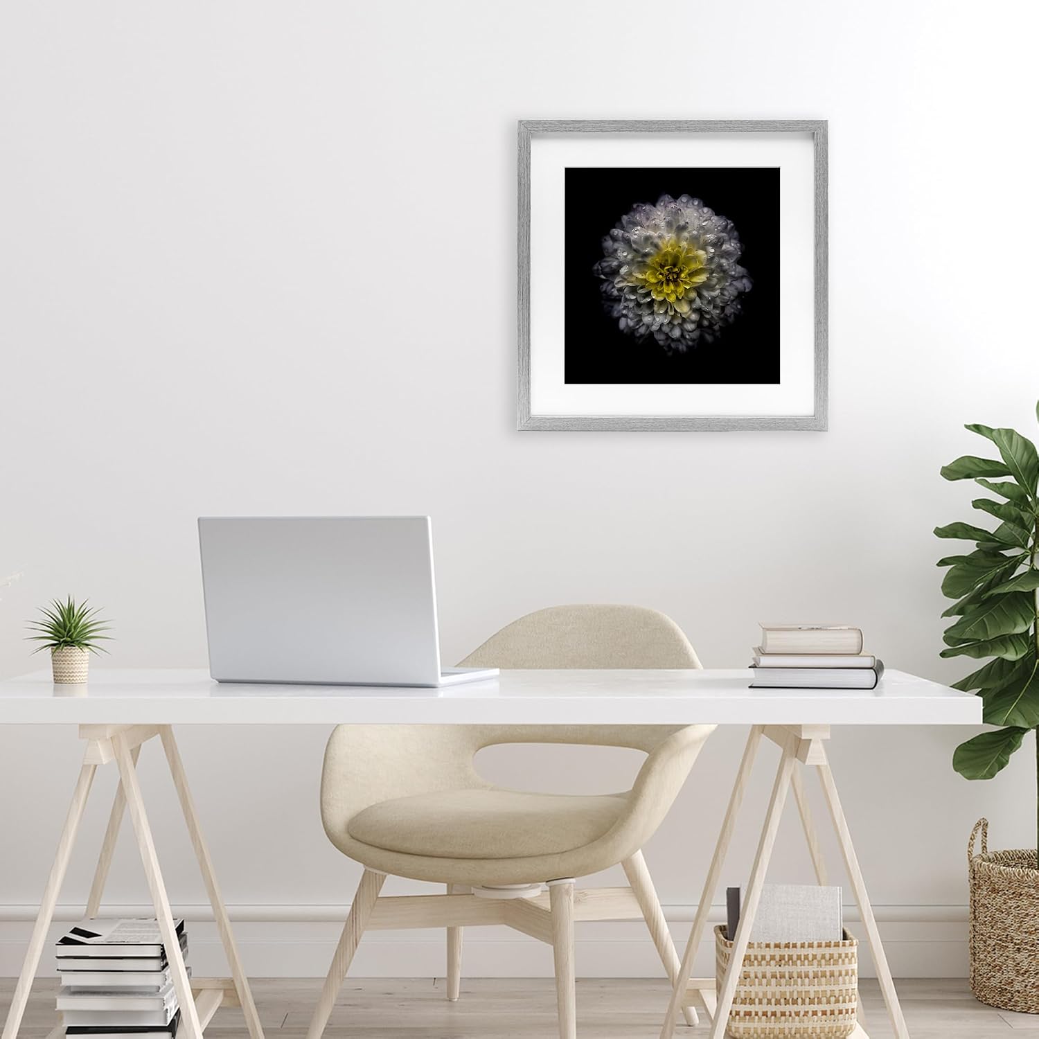 Stupell Industries White And Yellow Mum Gray Framed Print Under Glass, design by Brian Carson Photography, 16 x 16 | Stupell Industries | Gray, 16 x 16 Inches, Easy to Hang and Sturdy, Made in USA, by Brian Carson Photography