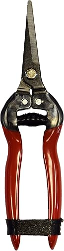 Spear & Jackson 4949FP Podadoras de Frutas, Rojo, Poda precisa de flores, árboles frutales y bonsáis. Cuchillas de acero con correa de bloqueo de