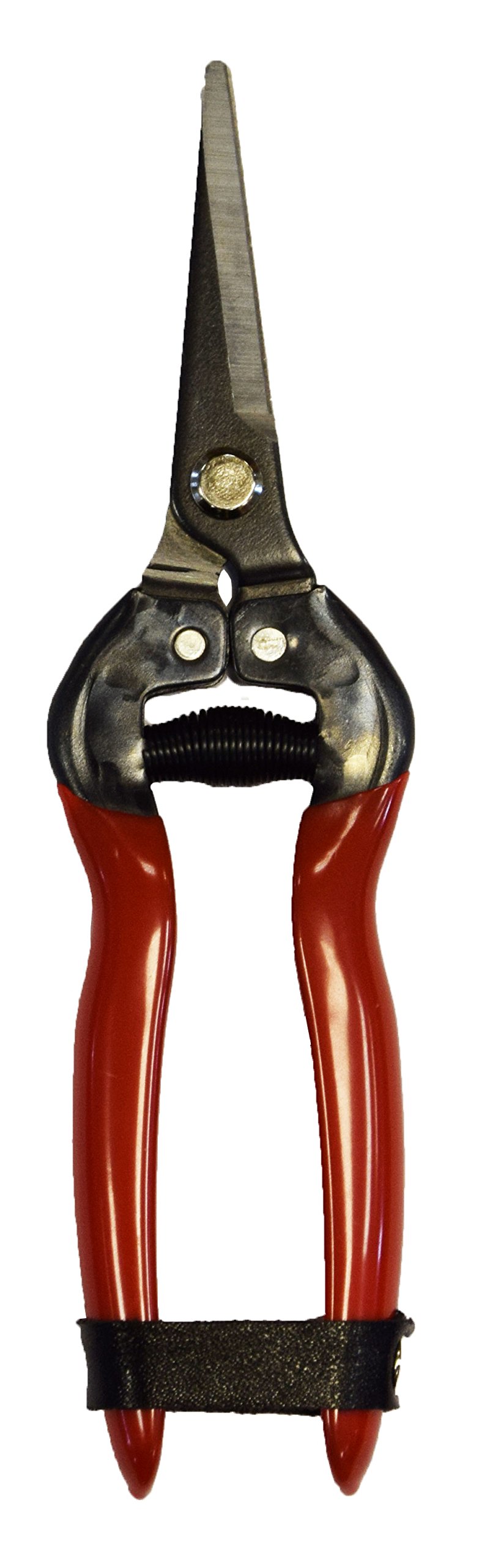 Spear & Jackson 4949FP Fruit Pruners, Red, Precise pruning of flowers, fruit trees & bonsai. Steel blades with leather locking strap