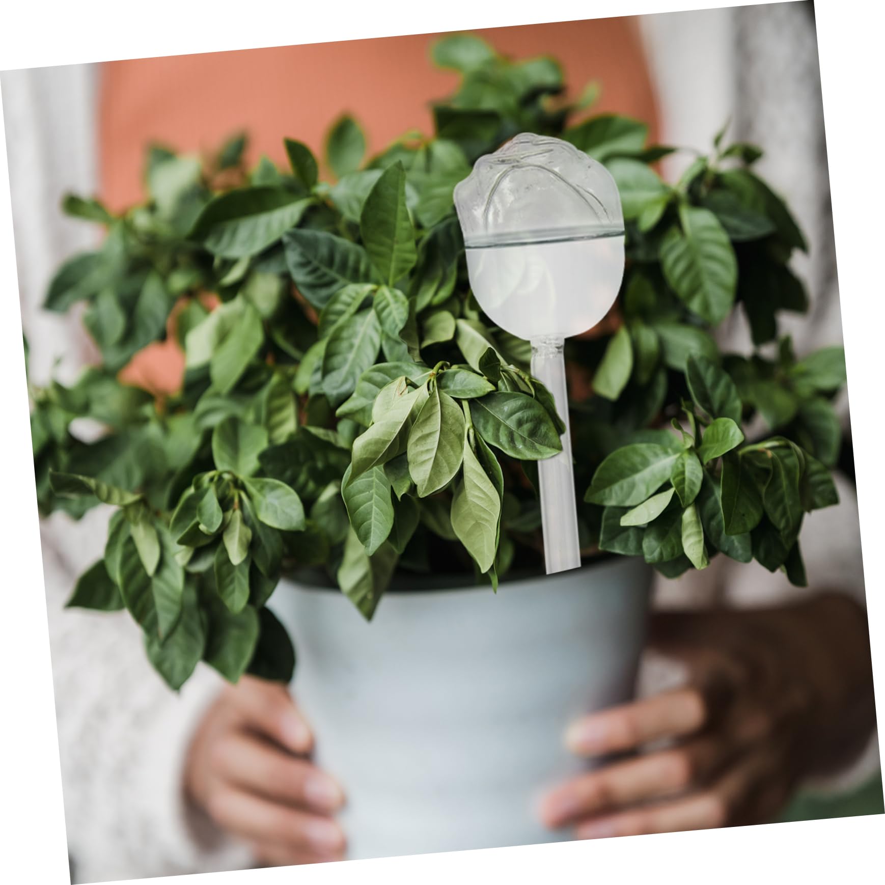 NULYLU Plant Watering Tool Creative Shape Saves Time Effort Ideal for Balcony Courtyard Greenhouses Home Decor