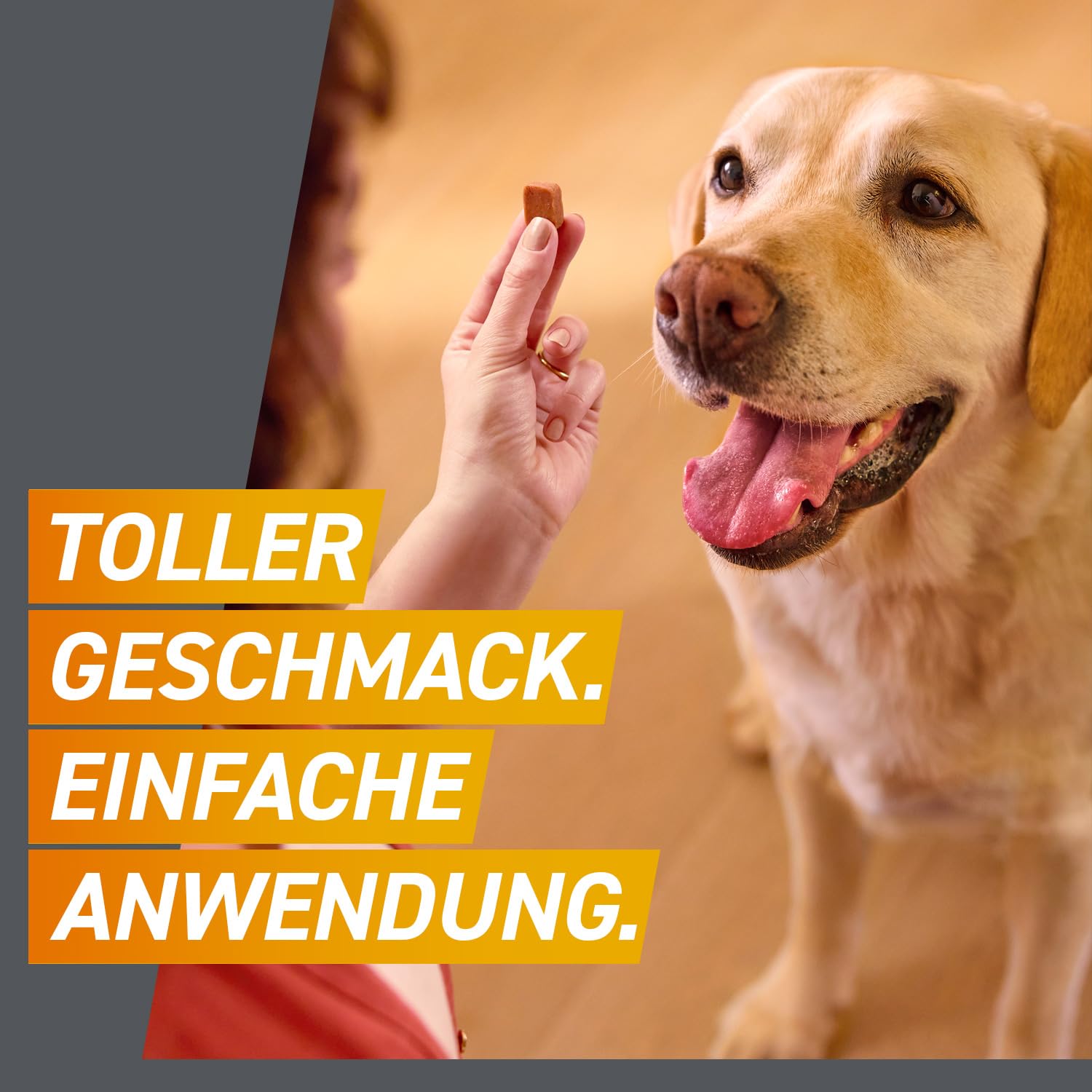FRONTPRO Hund XL - Kautablette gegen Zecken & Flöhe (große Hunde 25 bis 50 kg) - 2x3 Kautabletten für 6 Monate Zecken- und Flohschutz