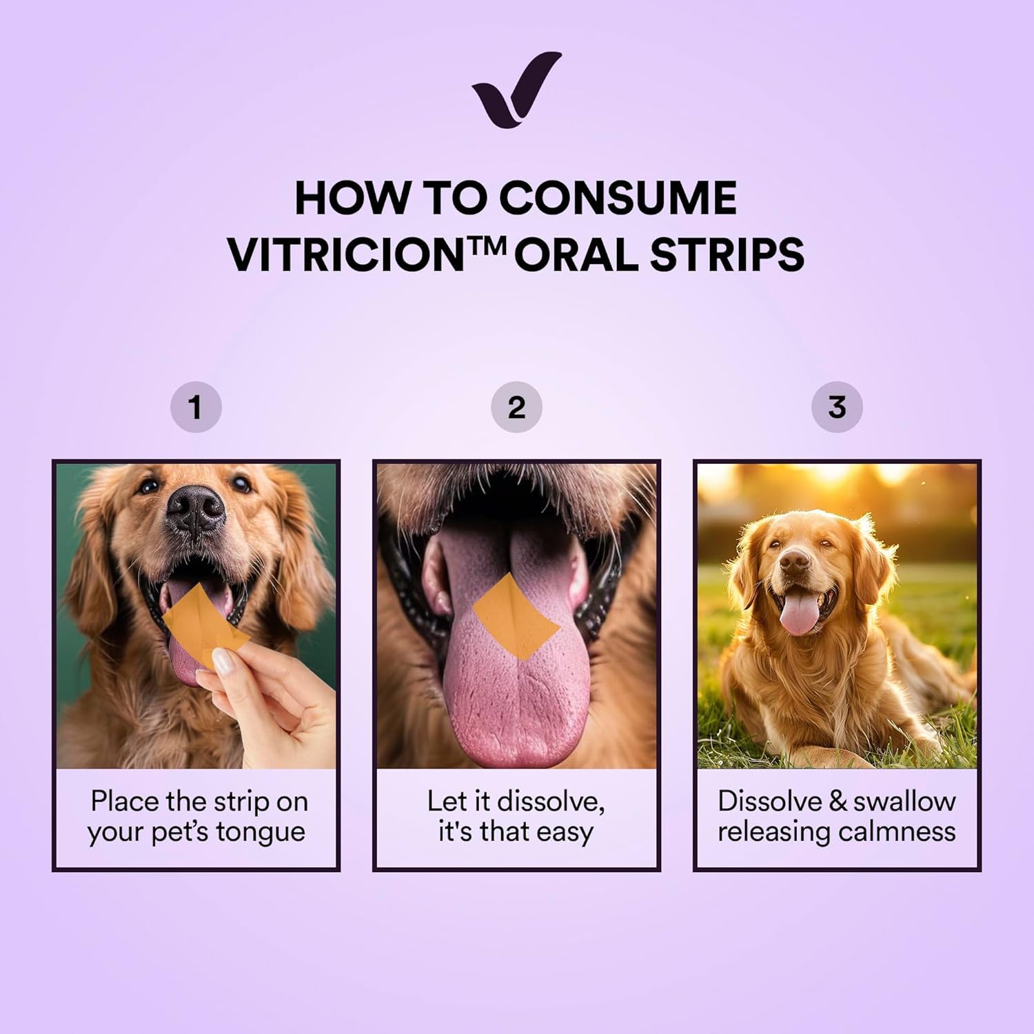 Vitricion Pet Calming Oral Thin Strips with L-Theanine, Tryptophan, Chamomile and Melatonin for Dogs and Cats | 30 Strips | Enhances Relaxation, Anxiety and Stress Relief, Non-Drowsy 4
