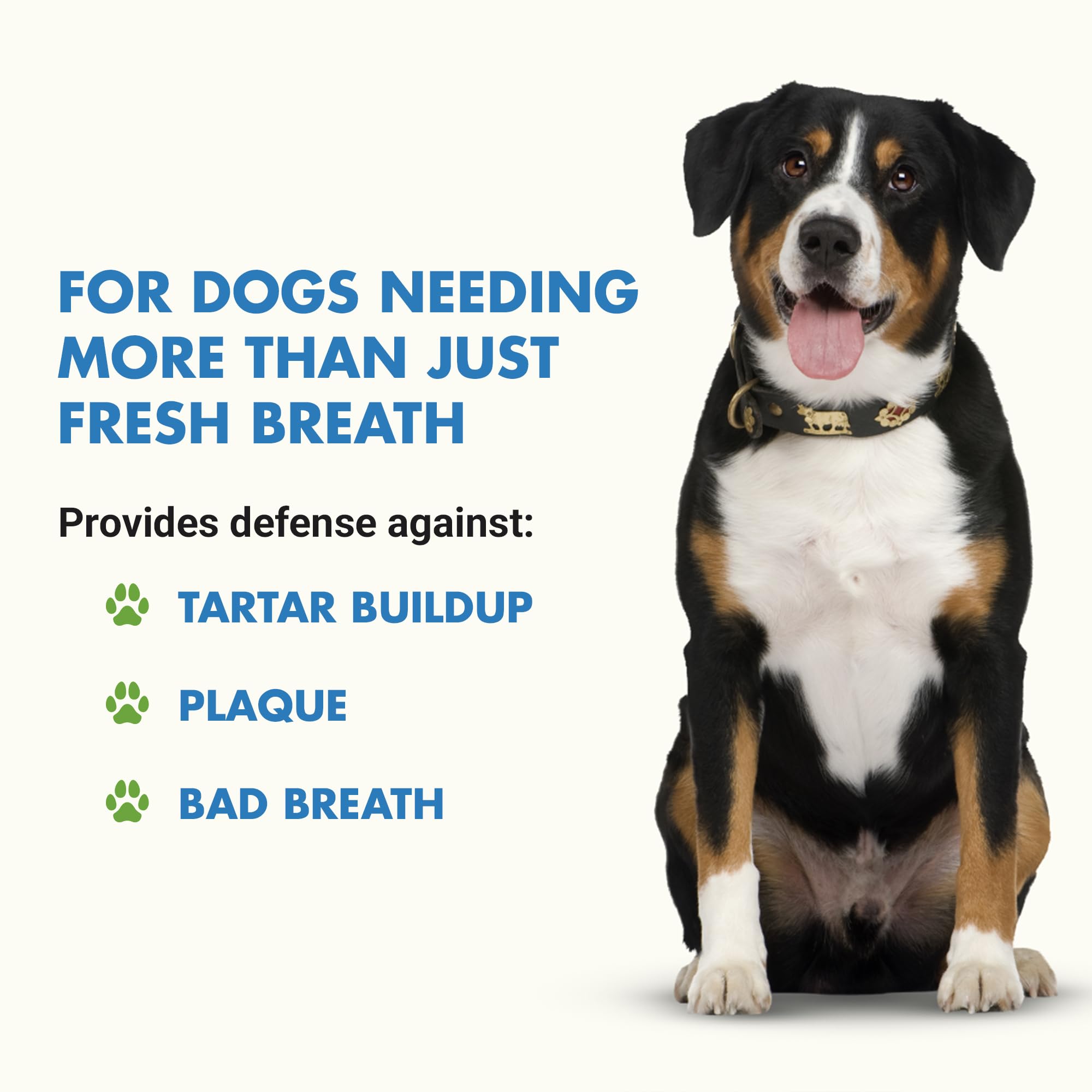 LIQUID-VET Ultimate Dog Dental Care Solution: Teeth Cleaning & Plaque Remover Food Additive - Fresh Breath Mouthwash, Tartar Control, and Gum Health Support - Premium Pet Product - image 2
