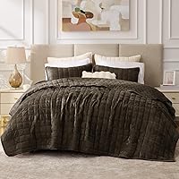 Vista 15 de BEDELITE Juego de colcha de terciopelo tamaño Queen - Juego de ropa de cama de edredón de terciopelo de lujo de 3 piezas, colcha suave y acogedora