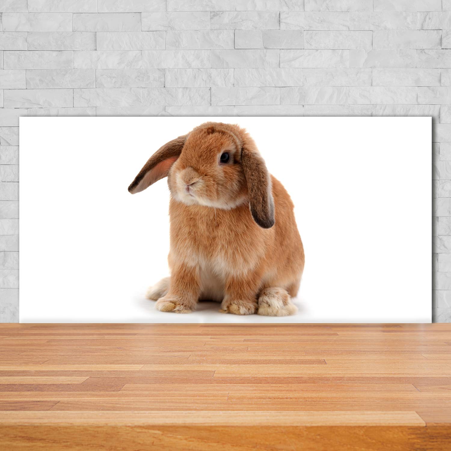 Tulup Crédence de Cuisine 140x70cm Dosseret en Verre Fond de hotte Verre de sécurité trempé Splashback Guard - Animaux - Orange - Lapin Roux