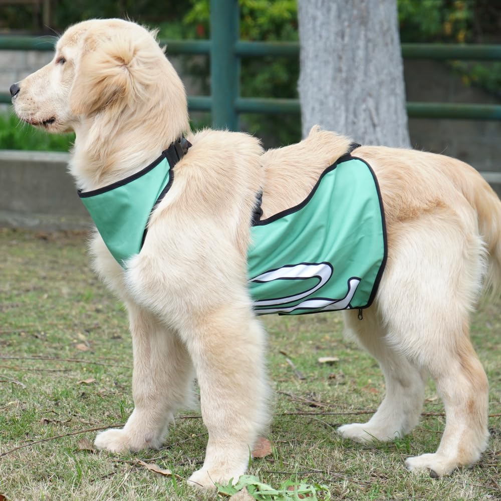 Protection ventrale imperméable avec boucles pour chien de petite, moyenne et grande taille (vert, taille M)
