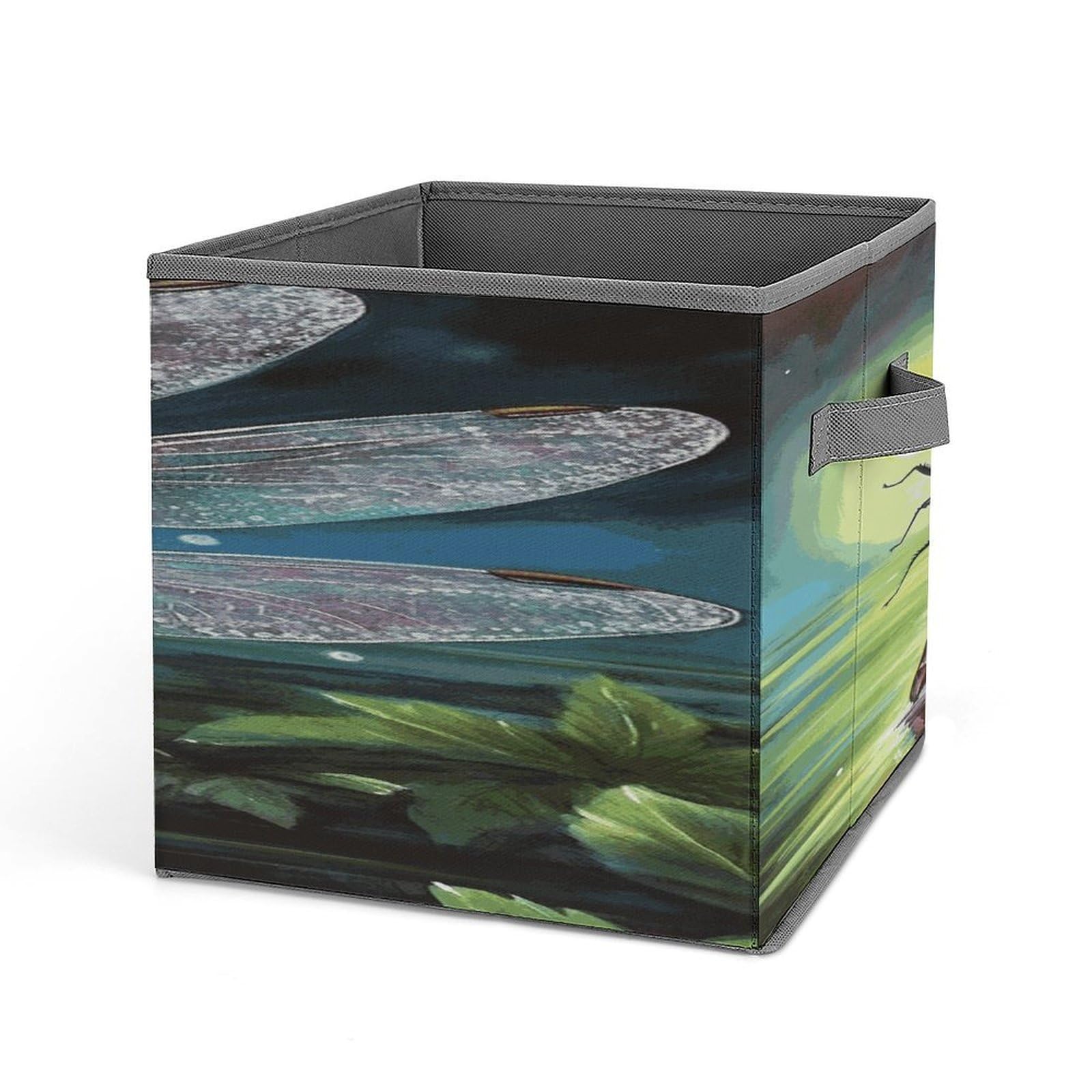 Fodpand Style Dragonfly Painting Storage Cubes Foldable Decorative Fabric, Storage Bins Baskets With Handles, Closet Organizers And Storage For Home, Office,Closet, Clothes