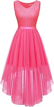 BeryLove Women's 2023 Prom Dress Formal Wedding Guest Dress Sleeveless Lace Cocktail Dresses