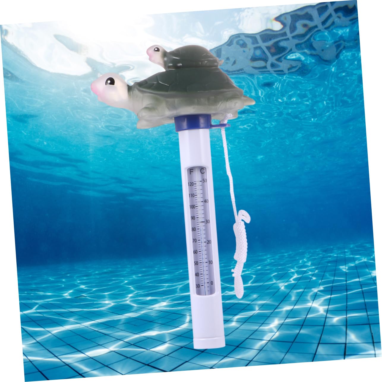 ifundom 2 Pezzi Termometro Galleggiante Forma per Piscina e Bagnetto Monitor Temperatura per Design Decorativo per Bagni e Vaschette