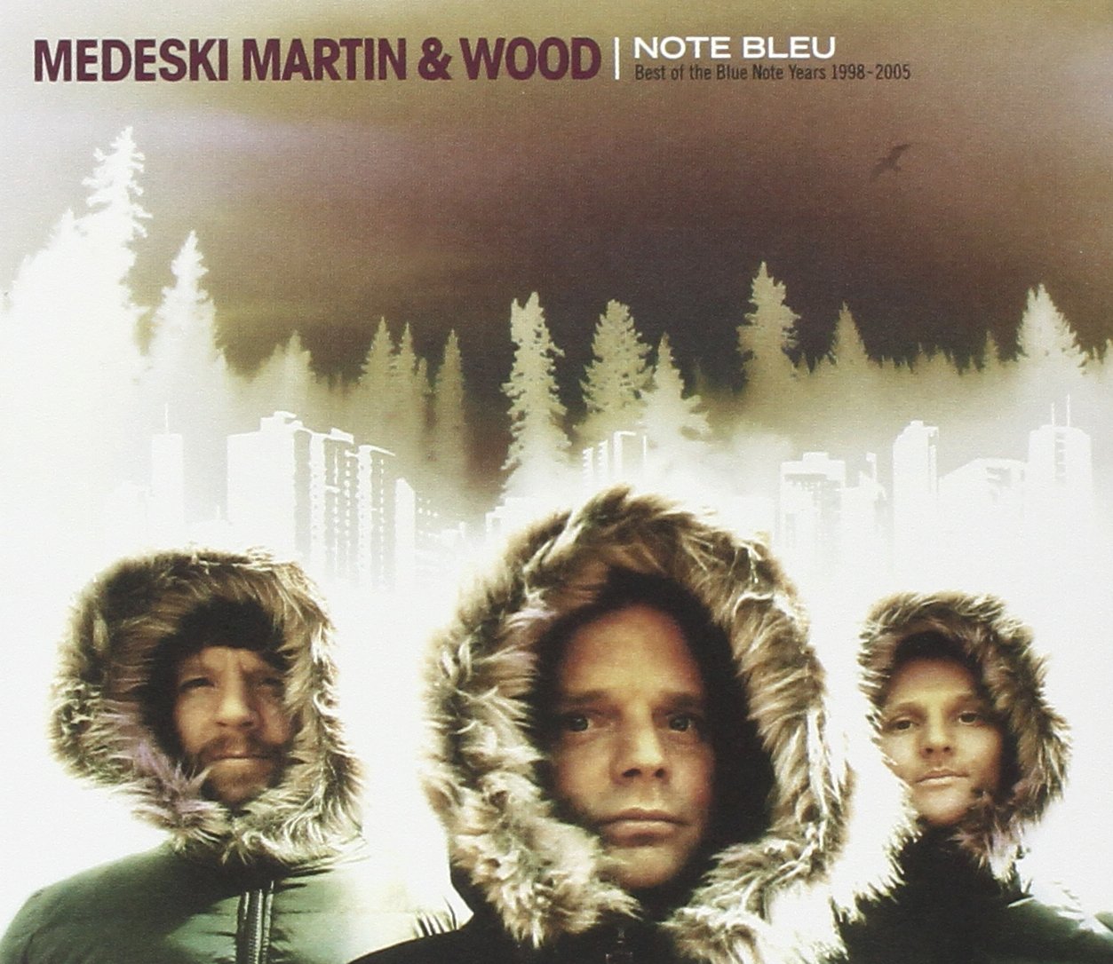 MEDESKI MARTIN & WOO - NOTE BLEU:THE BEST OF THE [Audio CD] MEDESKI MARTIN & WOOD