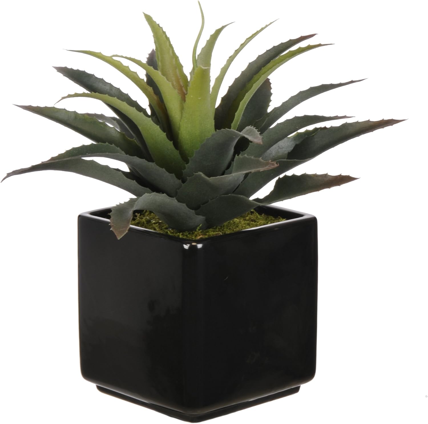 House of Silk Flowers Artificial Star Succulent in Black Cube Ceramic