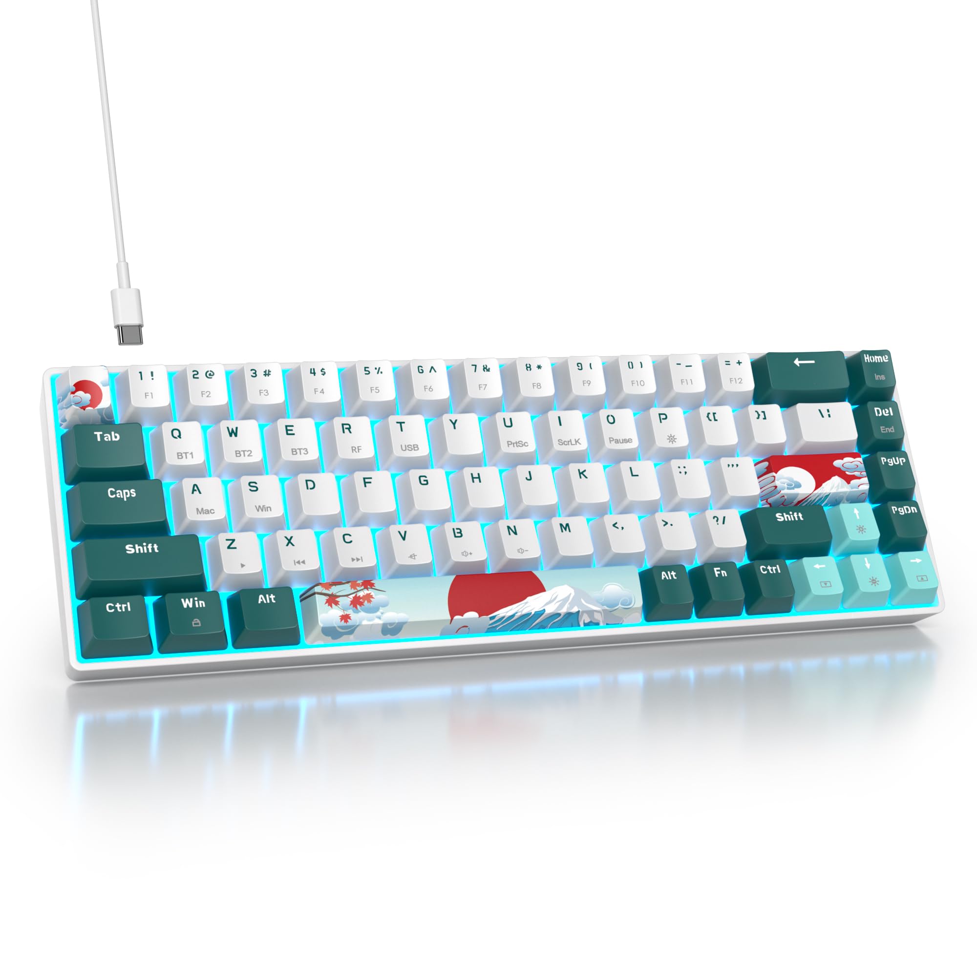 Teclado Mecanico Inalámbrico,Mini Teclado Gaming 65% Wireless Gamer Keyboard 2.4Ghz/Bluetooth/USB-C Hot Swap American QWERTY Layout con para PC/Mac