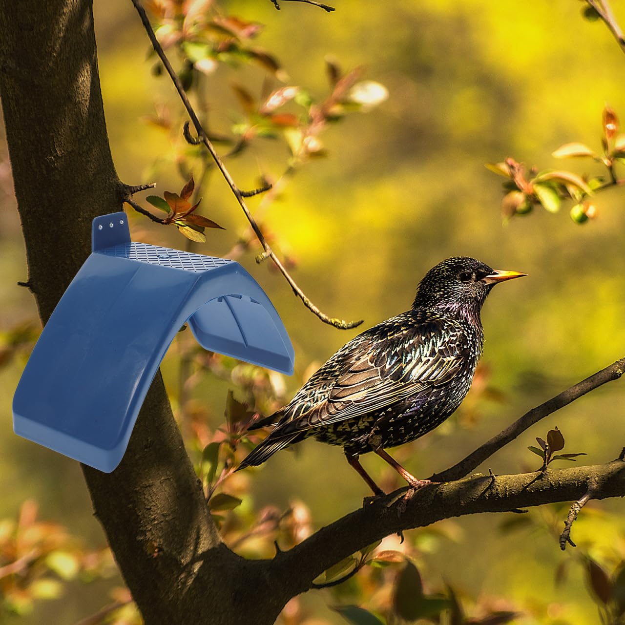 Alipis Posadero para Palomas De Plástico 30 Piezas Soportes De Descanso para Palomas con Orificio De Tornillo Base Redondeada Y Espacio para Jaulas De Pájaros Aves Y Loros