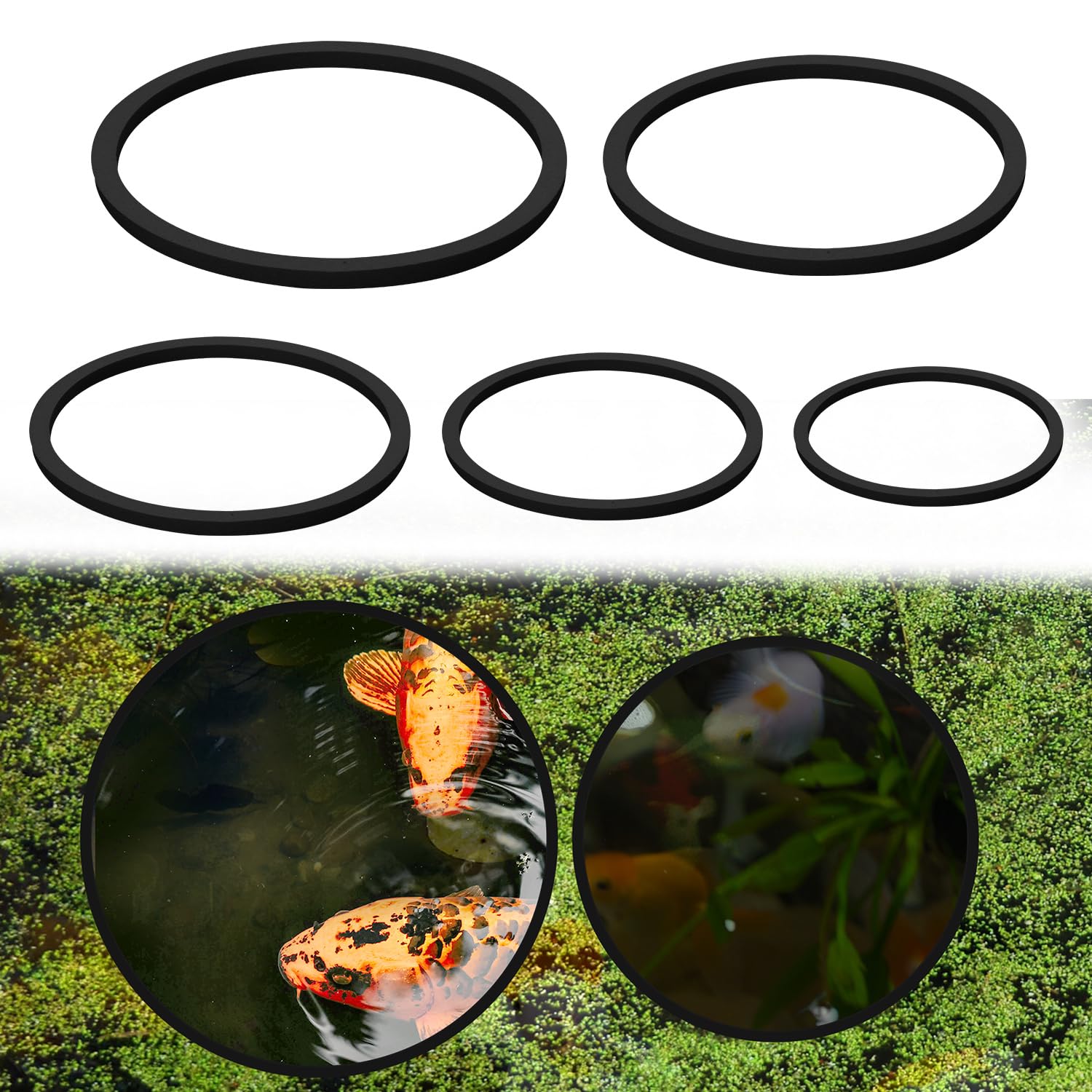 XIHIRCD 5pcs Aquarium Floating Plant Rings, 5 Sizes Foam Fish Feeding Rings Fish Tank Plant Ring Floating Plant Corral Feeding Ring for Keeping