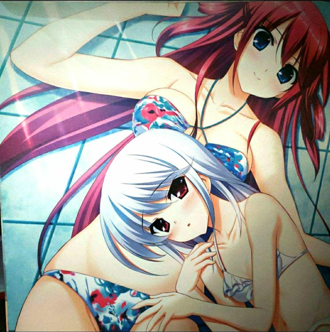 Amazon.co.jp: グリザイアBD全巻購入特典 風見一姫&周防天音 B2 