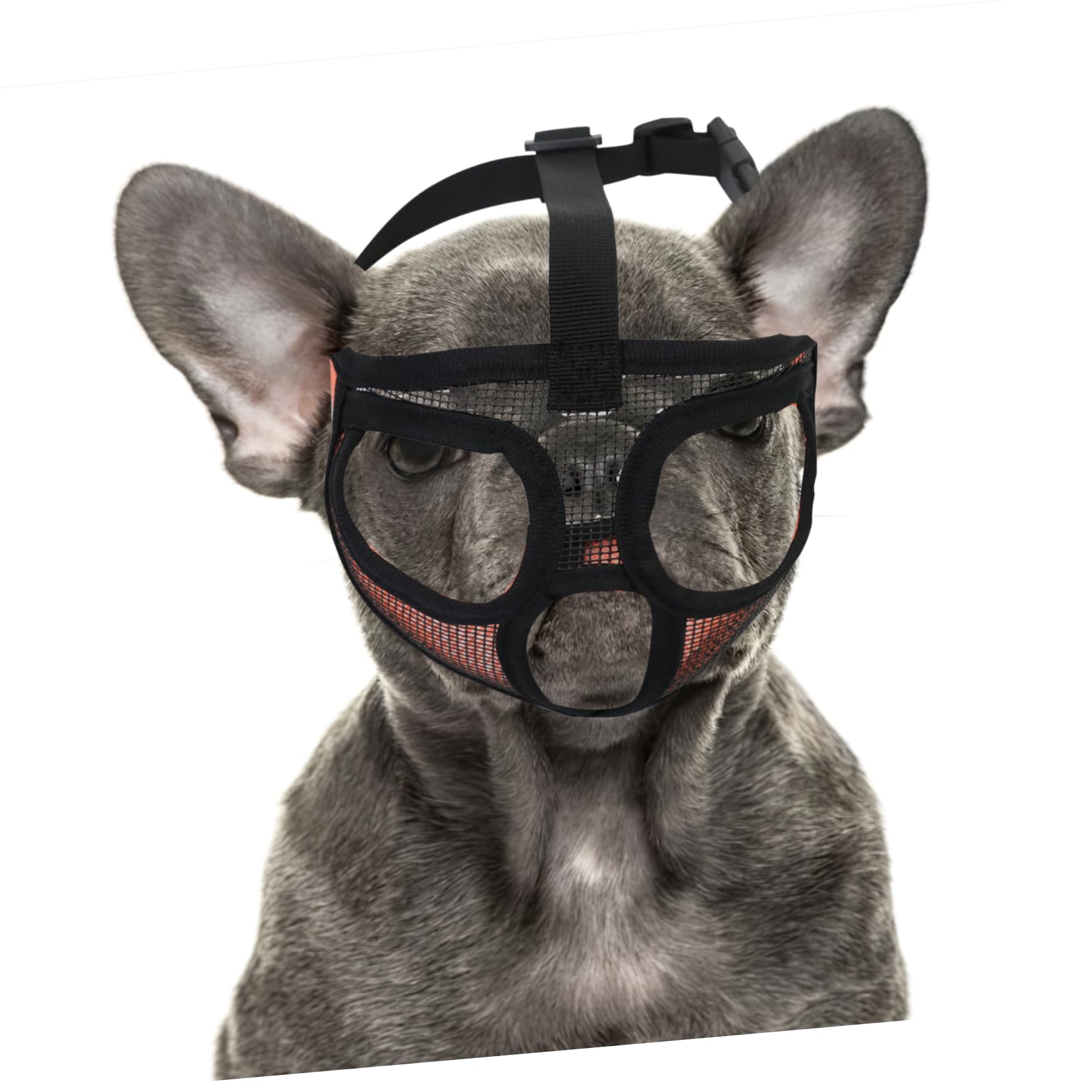 Toddmomy 4pièces Muselière Réglable Maille Respirante pour Bulldog Bouche pour Chiens Confortable Et Pratique Idéale pour Promenades Extérieur