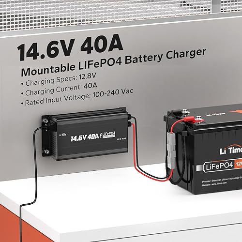 Miniatura 7 de LiTime Cargador de batería de litio de 14.6 V 40 A montado para batería de litio LiFePO4 de 12 V con indicador LED e interruptor de