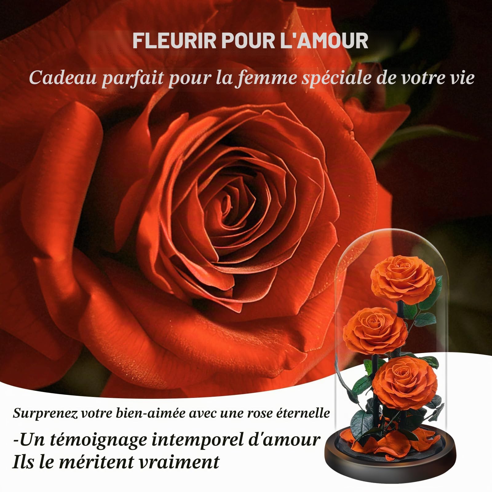 Rose Éternelle sous Cloche, Naturelle Fleur Eternelle Cadeau, Idée Boite Rose Eternel, Cadeau pour la Saint-Valentin, Fête des Mères, Noël, Anniversaire, Femme, Copine, Amie, Maman, Grand Mere