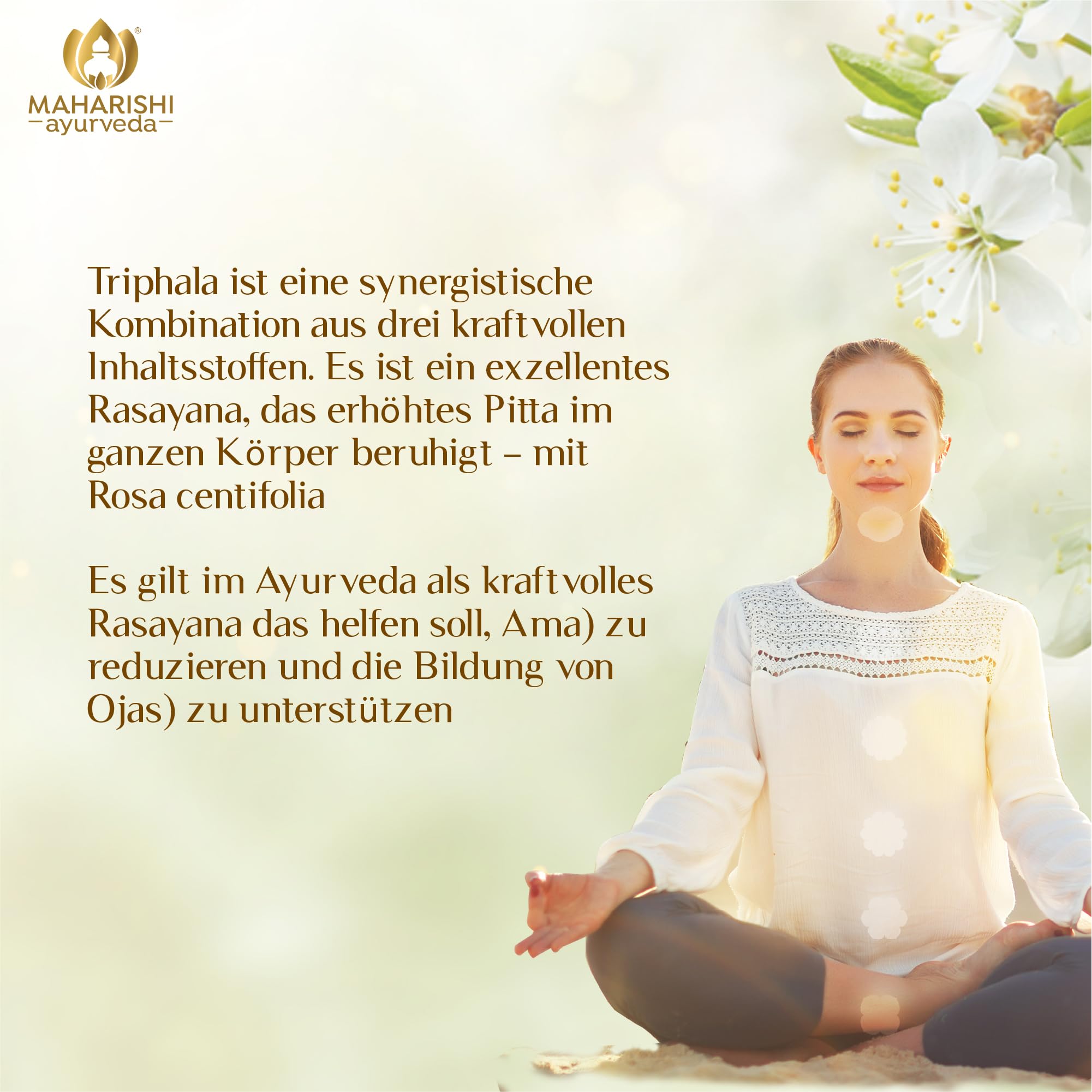 Triphala Plus Pulver (Bio) MA 505 Nahrungsergänzungsmittel mit ayurvedischen Pflanzenteilen, 1er Pack