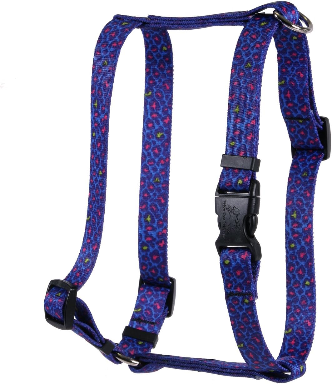 Yellow Dog Design Neon Leopard Roman Style H Dog Harness, X-Large-1" Wide and fits Chest of 28 to 36"