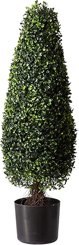 Casi Natural 3ft. Boxwood Topiario torre