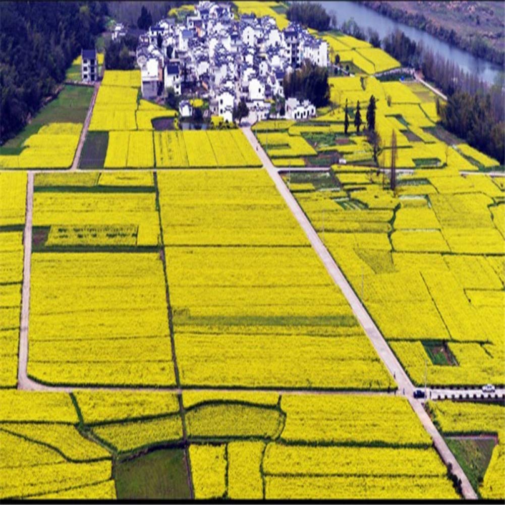 buy-tianxinbz-large-custom-wallpaper-beautiful-rural-scenery-golden