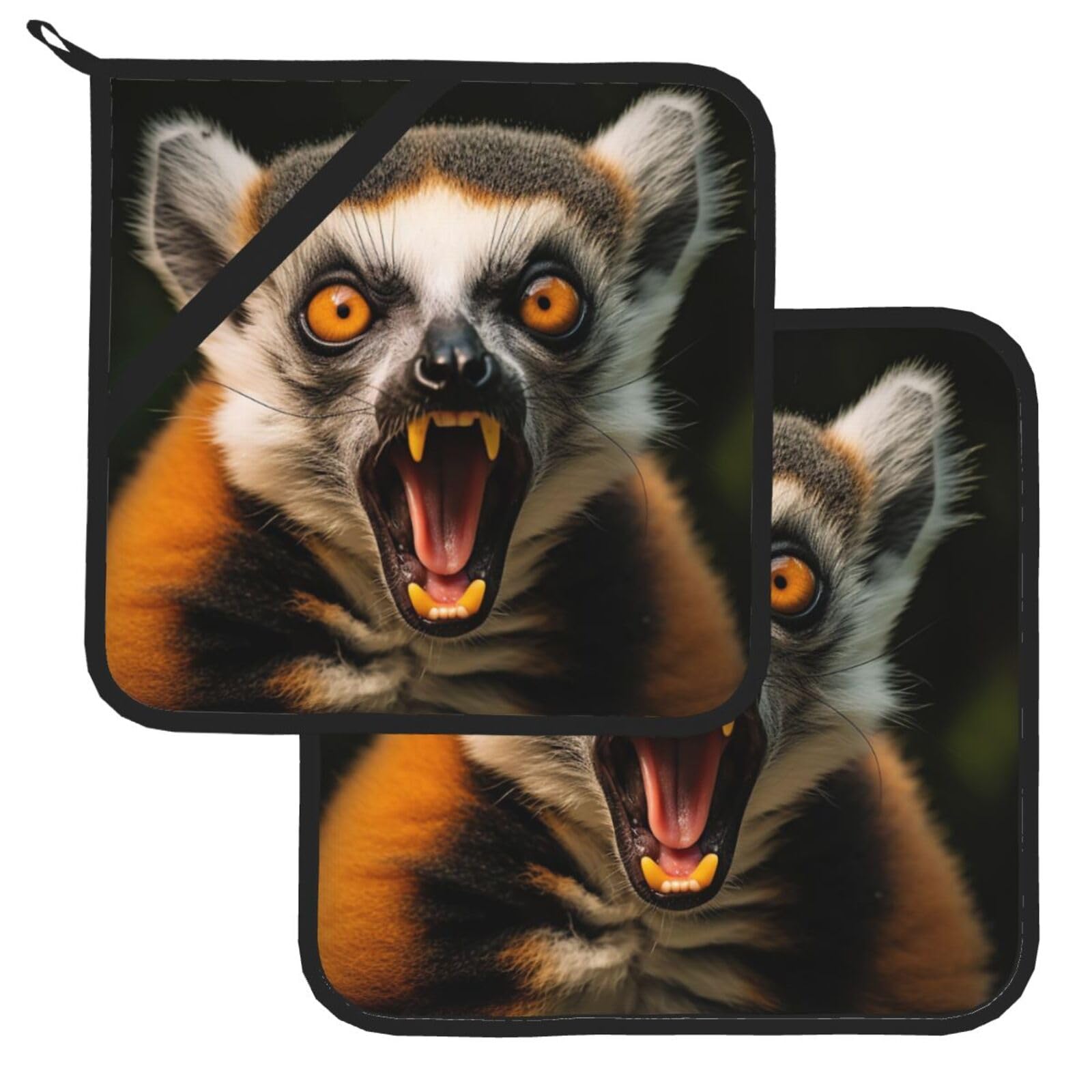Pot Holder Set of 2 Heat Resistant Potholders Lemur Pot Holders Non Slip Kitchen Trivets Cooking Hot Potholder Washable Oven Mitts Oven Hot Pads for Kitchen Baking BBQ