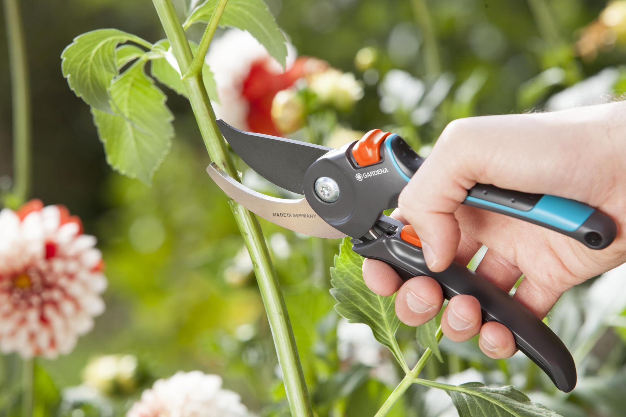 Gardena sekator ogrodowy B/M: delikatny dla roślin sekator dwuostrzowy do cięcia pędów i gałęzi o maks. śred. 24 mm, sprężyna zintegrowana z rękojeścią, górne ostrze z powłoką antyadhezyjną (8904-20)
