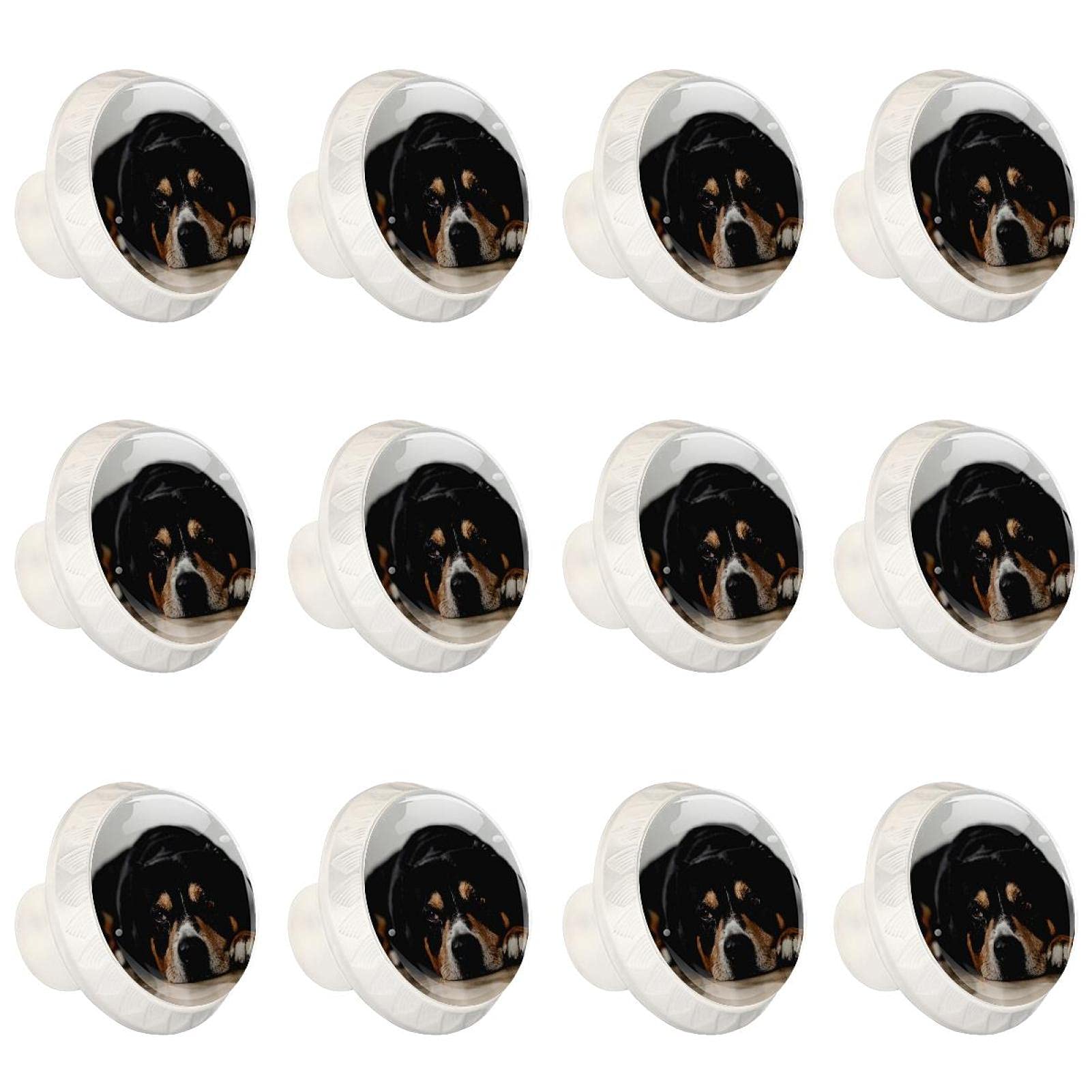 Boutons de placard de cuisine motif chien paresseux en lot de 12 forme ronde