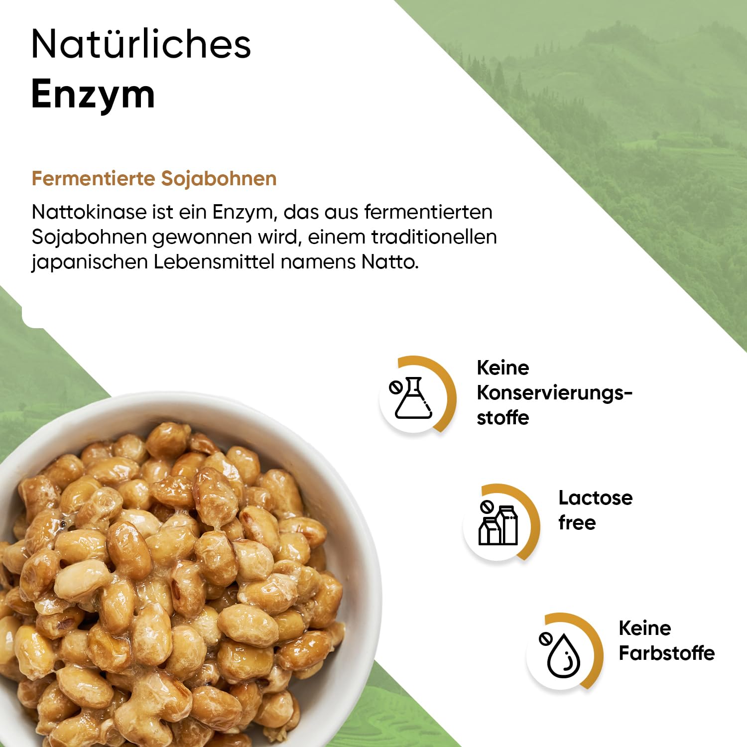 Nattokinase 365 Kapseln mit 2000 FU pro Tagesportion aus GMO freiem Soja inklusive Pillenbox 12 Monate Vorrat 100% vegan reine Rezeptur geprüfte Qualität