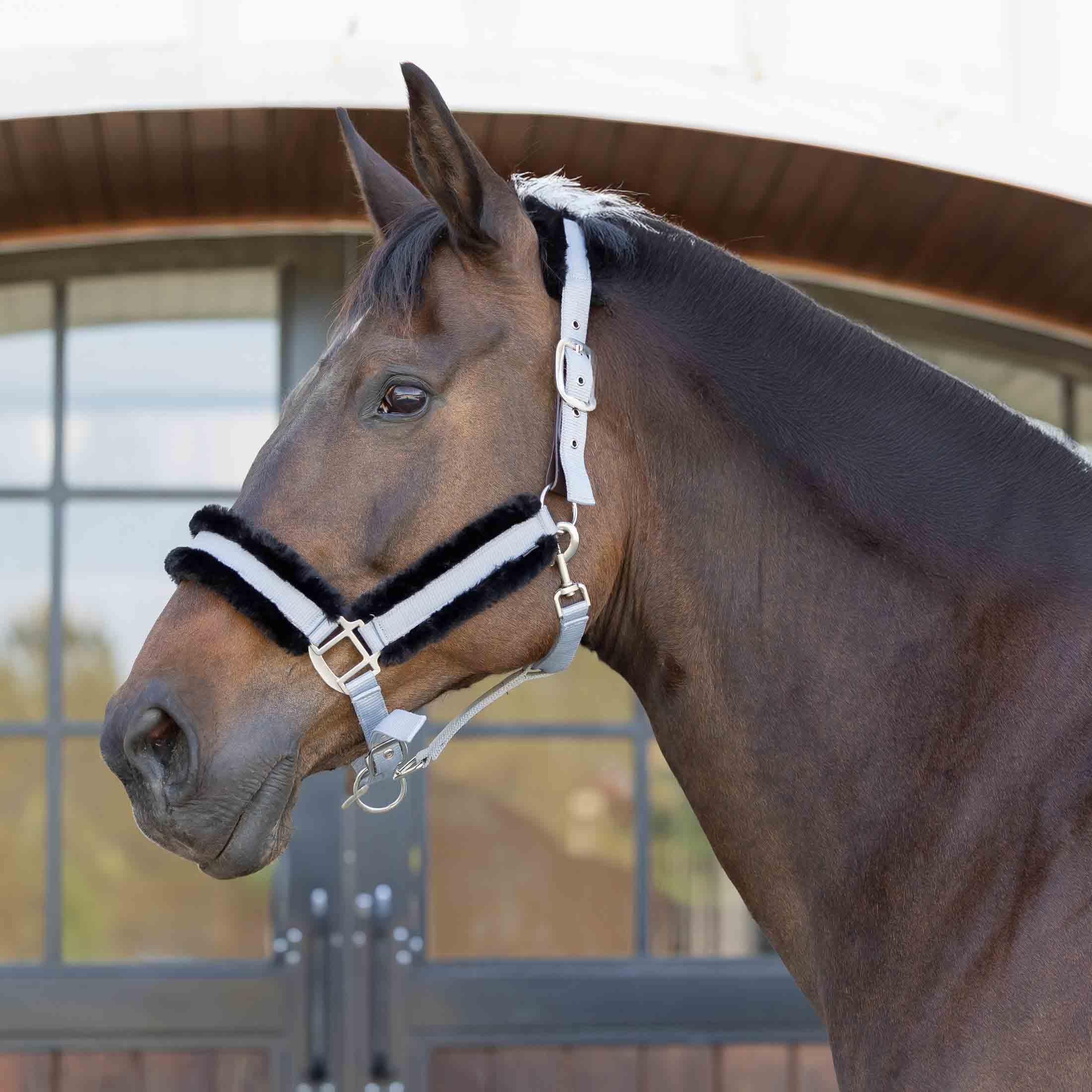 Equinavia Valkyrie - Cavezza per cavalli in pile ultra resistente, regolabile, imbottita, con fettuccia in nylon, grigio ardesia, nero, cavallo