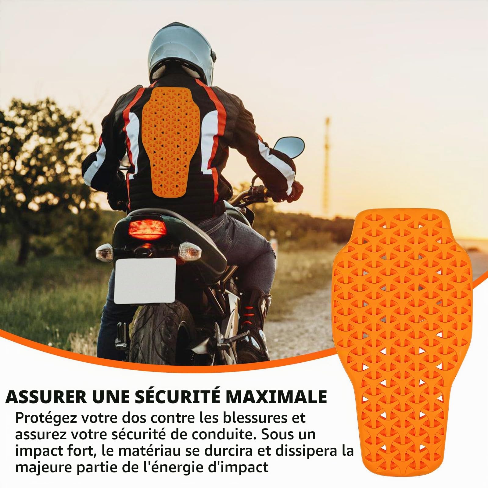GOMETY Protection dorsale de moto - Protections amovibles certifiées - Haute sécurité - Gilet protecteur - Protection dorsale pour moto - Équitation - Unisexe - Adulte - 42 x 32 cm - Matériau PU