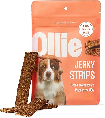 Ollie Golosinas para perros con receta de carne seca y batata Golosinas saludables para perros Carne real para perros Golosinas para perros Ollie Golosinas para perros con receta de carne seca y batata Golosinas saludables para perros Carne real para perros Golosinas para perros