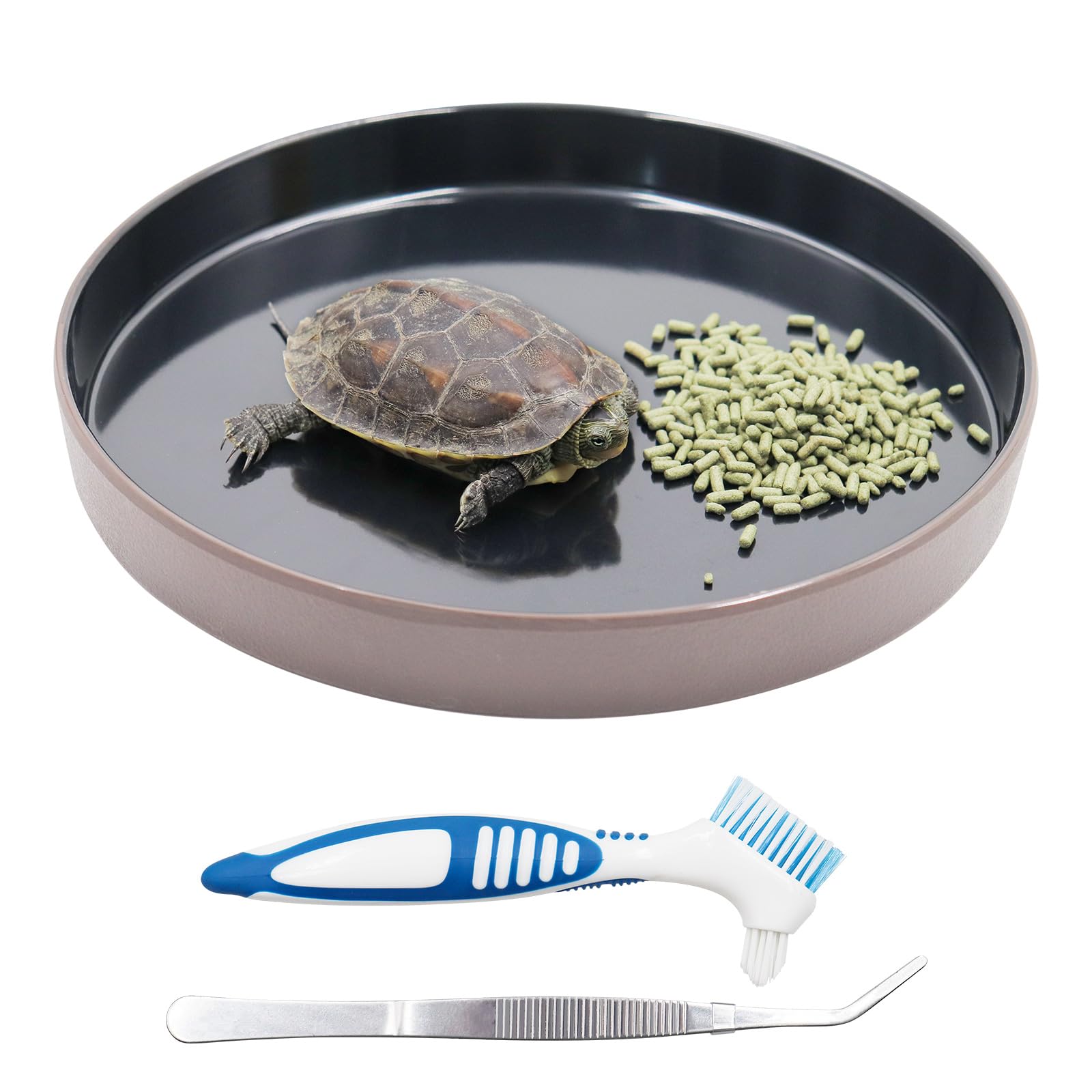 Reptile Feeder Kit, Food Water Bowl, Plastic Round Tortoise Feeding Dish, Amphibian Feeding Bowl, Tank Terrarium Accessories for Bearded Dragon Snake Hermit Crab Turtle Lizard Chameleon - 8 × 8 × 1