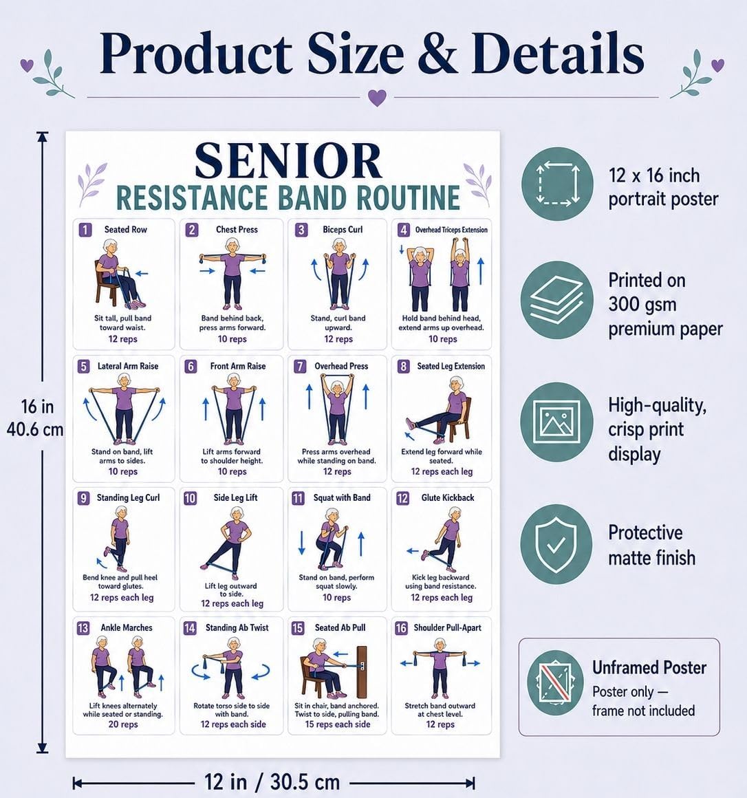 Senior Resistance Band Exercises Poster | 16 Guided Resistance Band Workout Chart for Seniors | Strength, Mobility & Balance Training with Seated & Standing Exercises, 12 x 16 Inch Unframed image 2