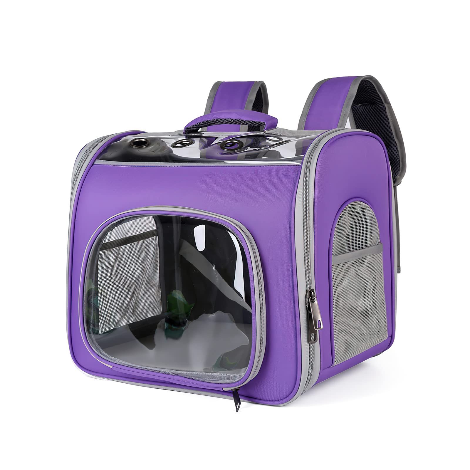 Galatée Katzenrucksack, Atmungsaktiver Haustierrucksack Mit Frontöffnung, Faltbare Rucksacktasche, Atmungsaktives Netzfenster, Hunderucksack Zum Wandern, Spazierengehen, Reisen(Lila)