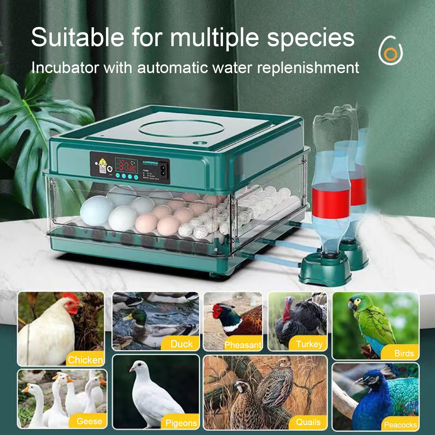 Incubadora Huevos Gallina,Incubadora De 24-36 Huevos Con Volteo Automático De Huevos y Humidificación Automática,Indicador De Humedad y Temperatura,Para Pollos,Codornices,Patos y Gansos