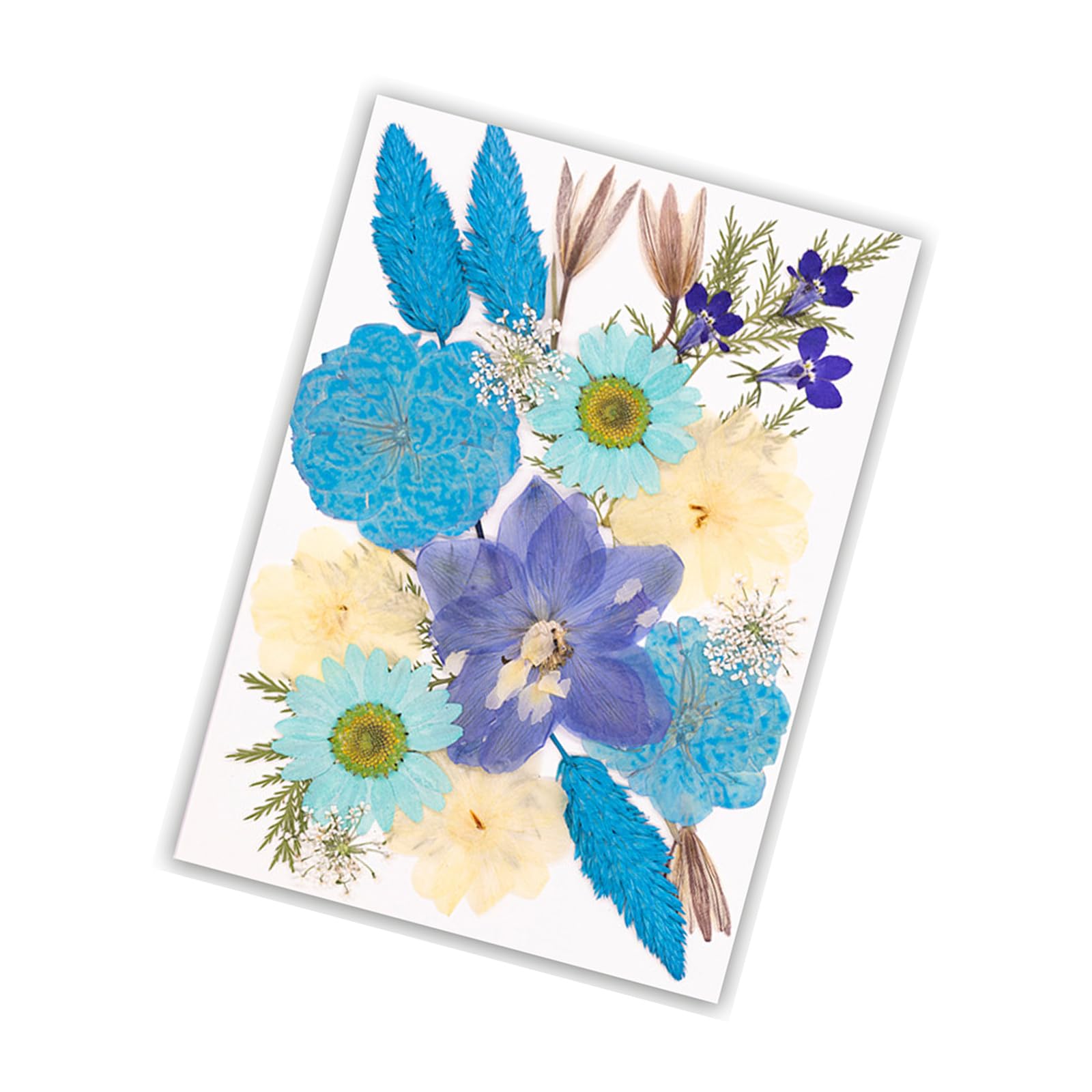 Kalttoy E. Dried Pressed Flower For Resin Molds Natural Dry Flower Leaves For Scrapbooking Resin Jewelry Bookmarks Making Condensed Needle