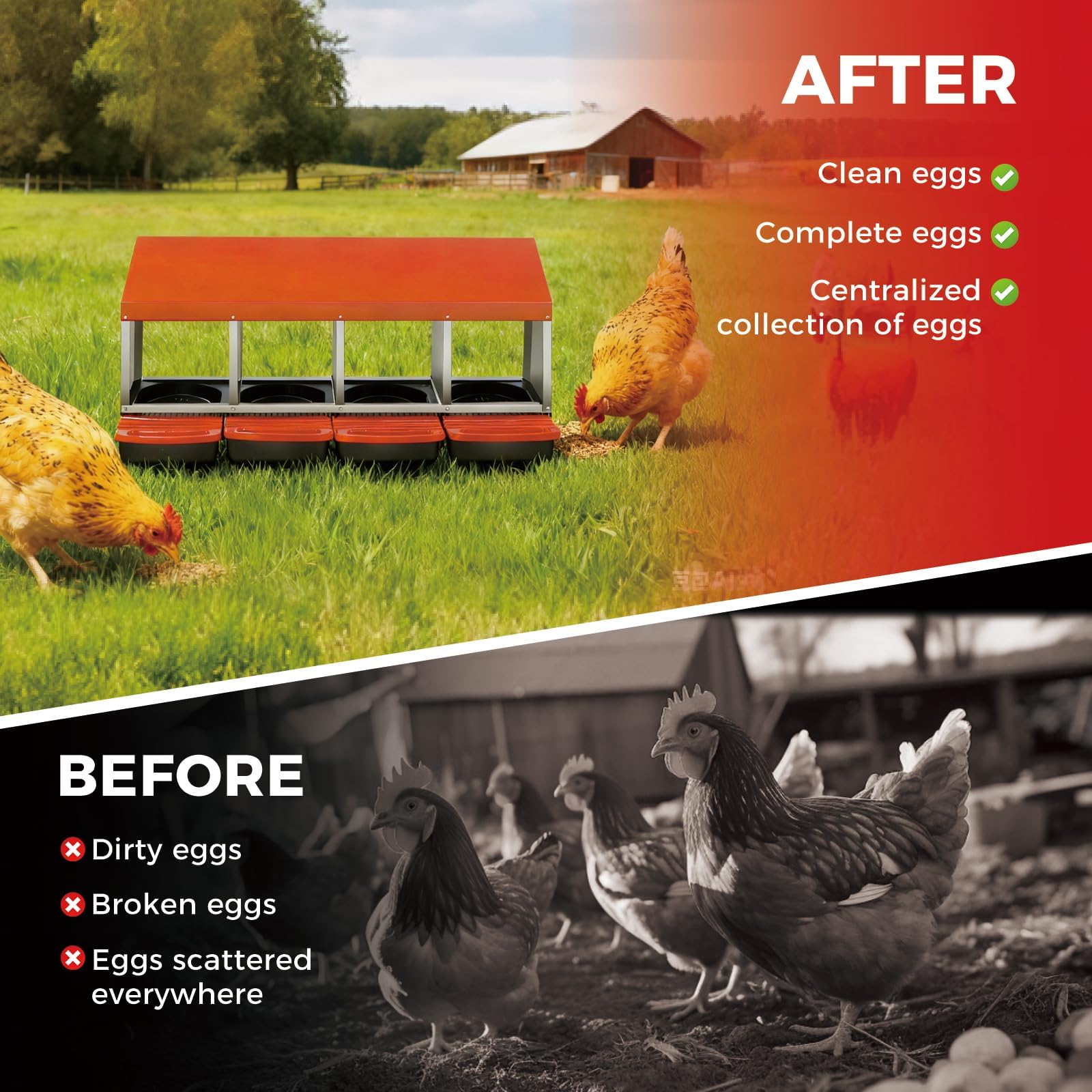 Garvee Nido para gallinas ponedoras con 4 Compartimentos de Acero galvanizado, Nido para Pollos con Sistema de Recogida de Huevos Anti-Rotura y bandejas extraíbles, fácil de Limpiar, Naranja
