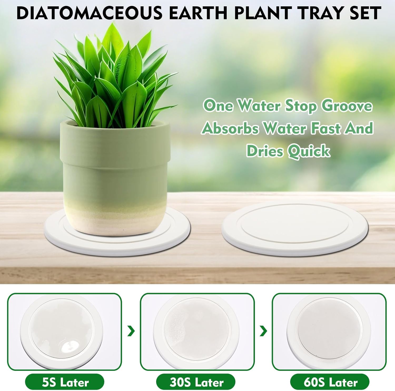 6 Inch Plant Saucers for Indoors, 2 Pack Round Diatomaceous Earth Plant Saucer Set, Instant Dry Absorbent Plant Trays for Pots, Flower Pot Saucers for Keeping Counter and Floors Dry and Clean (White) - Image 4