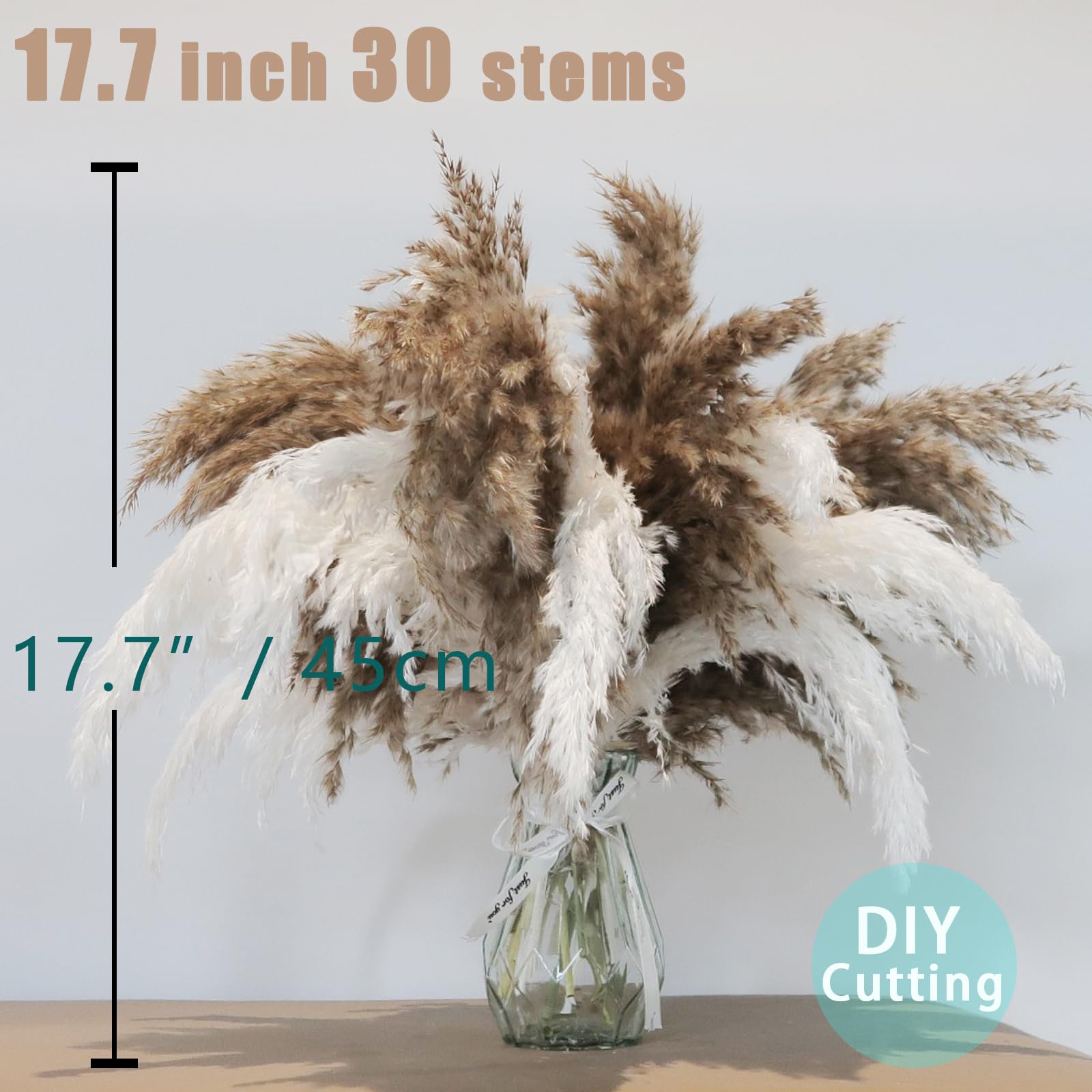 Décoration bohème à 30 tiges – Herbe de la pampa séchée, duveteuse marron et blanche, petites fleurs de pampa courtes et sèches en vrac pour décoration d'intérieur, décoration d'intérieur, décoration