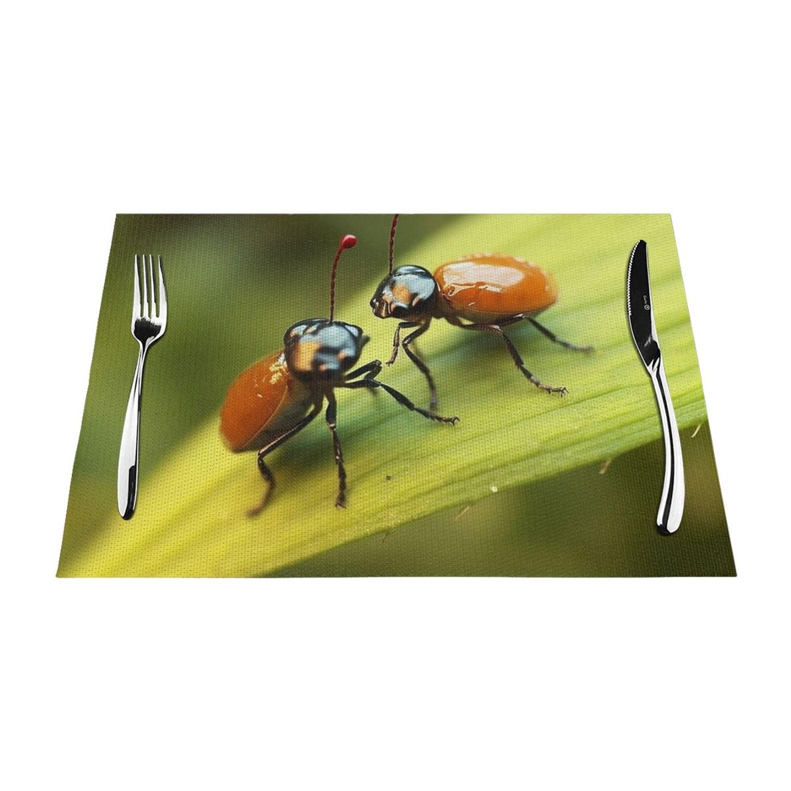 Sets de table en vinyle design insecte lavables 30x45 pour protection table cuisine de salle