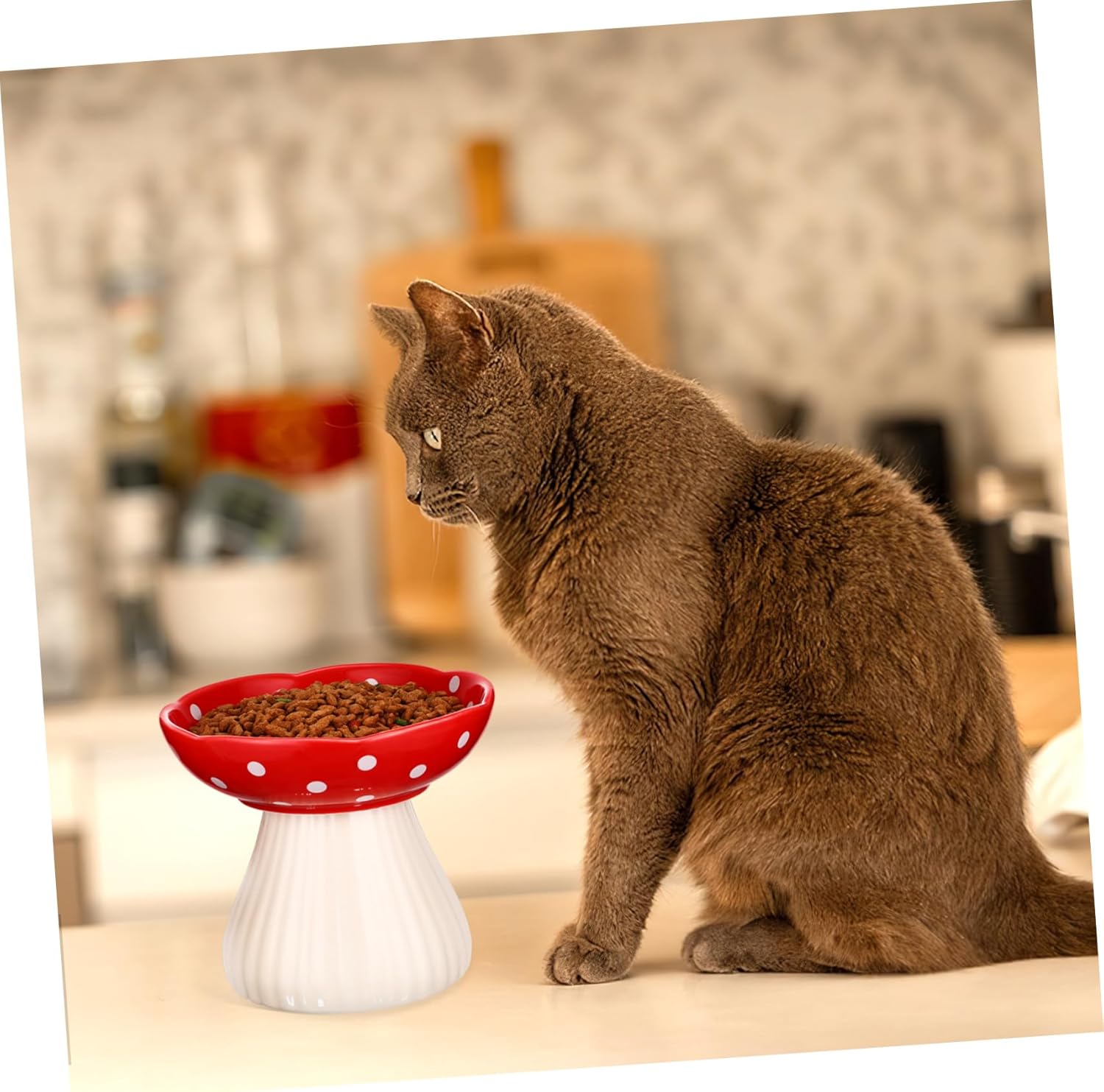MERRYHAPY Sturdy Ceramic Pet Bowl Elevated Cat Food Bowl Pet Supplies Easy to Clean