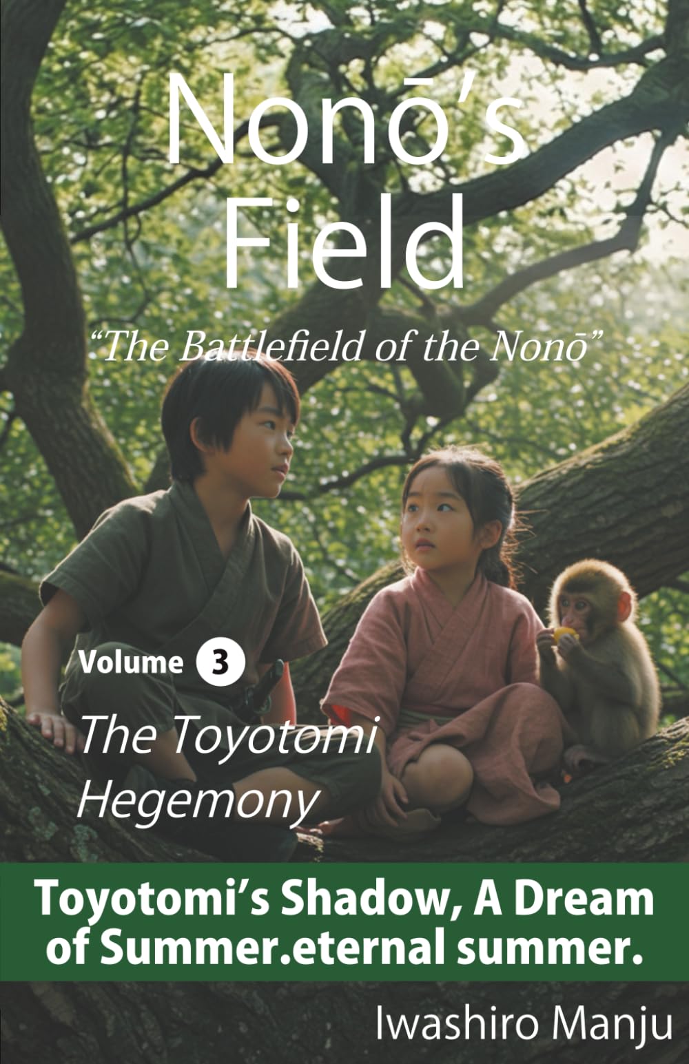 Nonō’s Field: The Battlefield of the Nonō Volume 3: The Toyotomi Hegemony