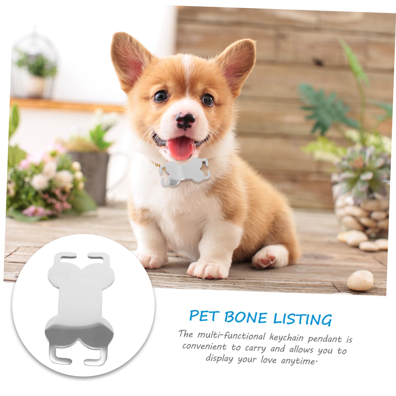 INOOMP 30pièces Plaques Identification Acier pour Chiens Et Médailles Personnalisées Légères à Graver avec Nom Téléphone Et Adresse Accessoires Animaux